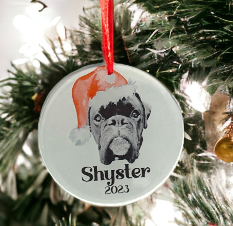 Frosted Glass Ornament- Personalized