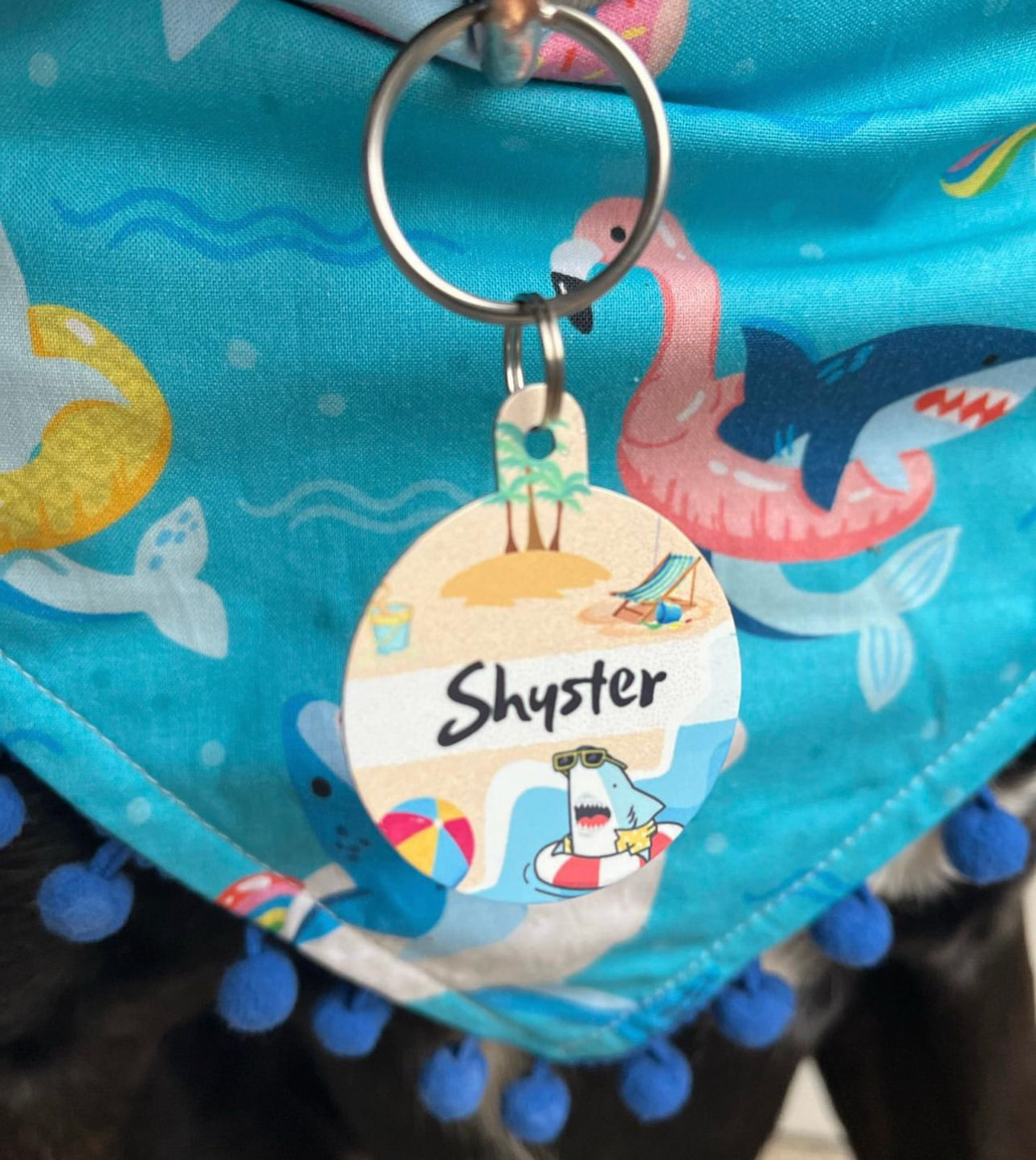 Beach - pet tag