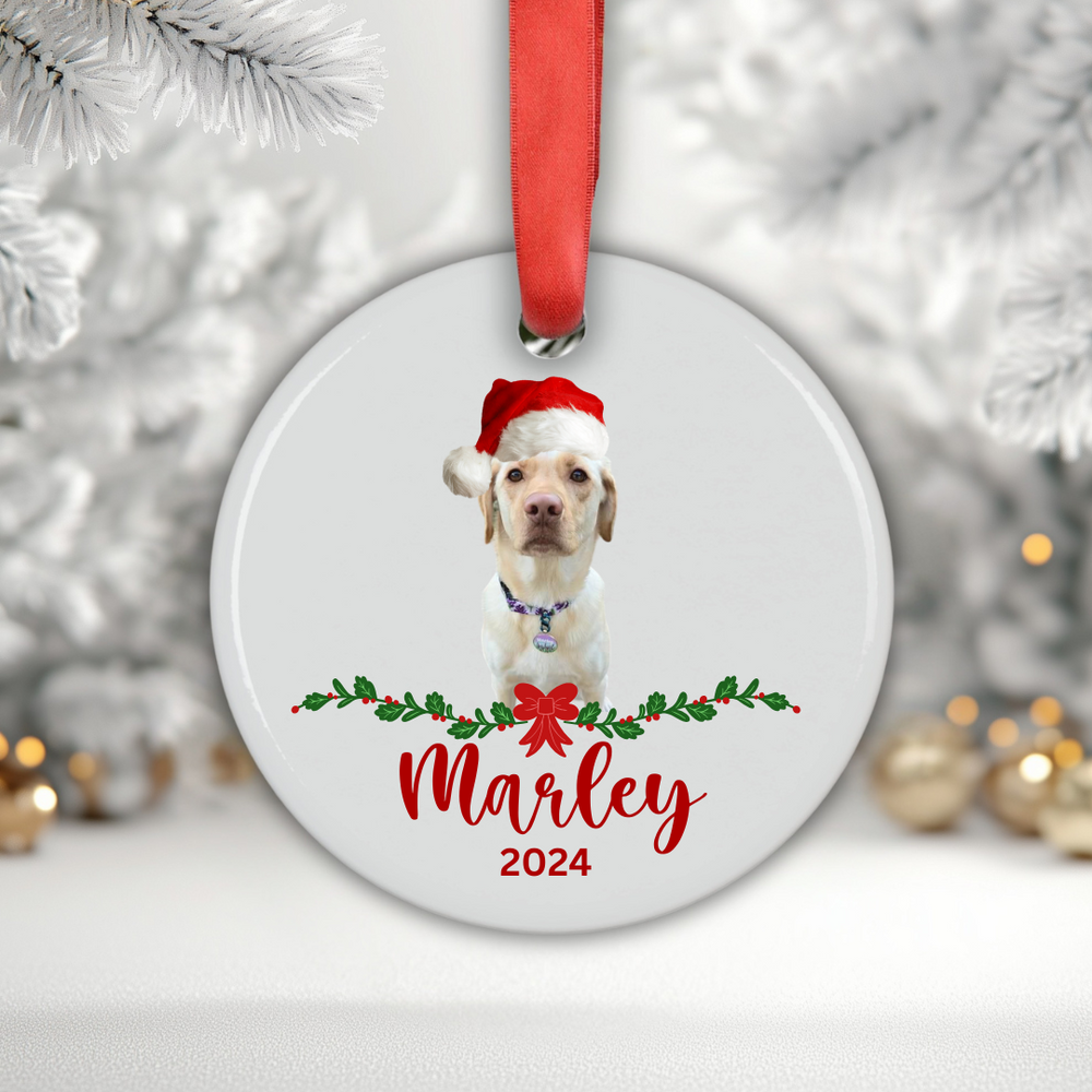 
                      
                        Acrylic Ornament- Personalized with photo/year
                      
                    