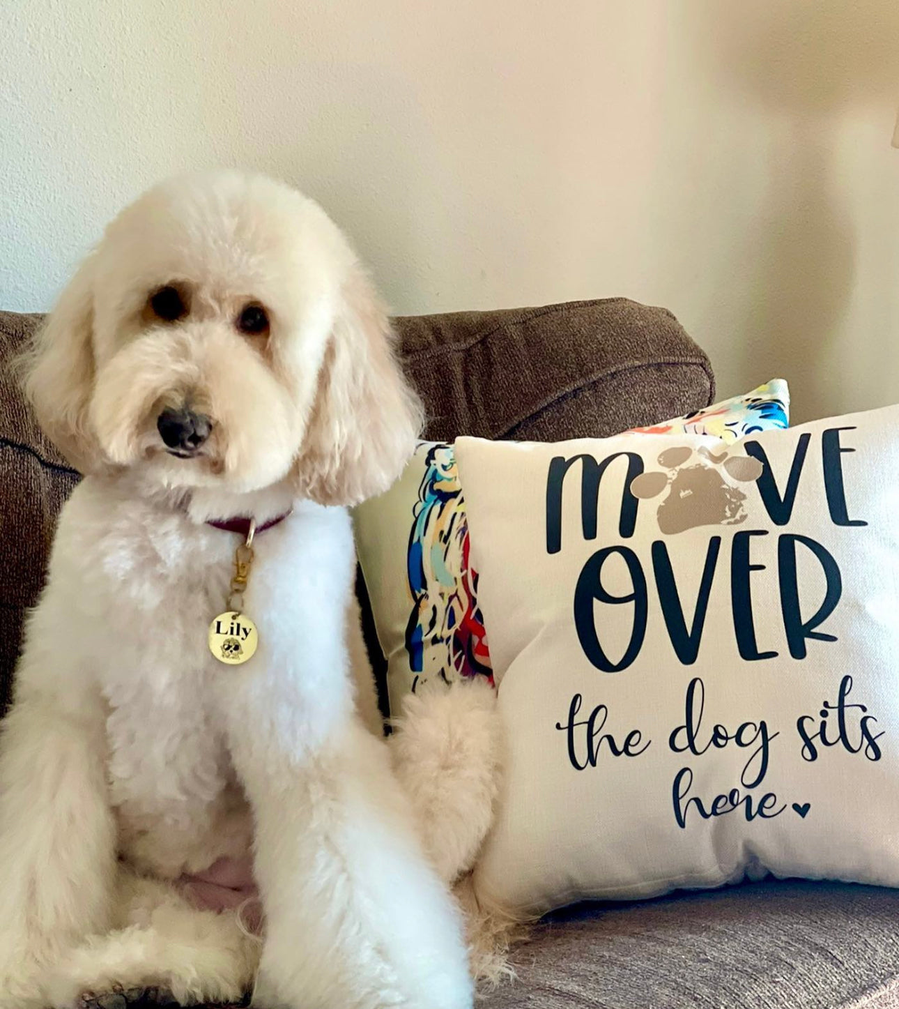 Move over the dog sits here - Pillow cover