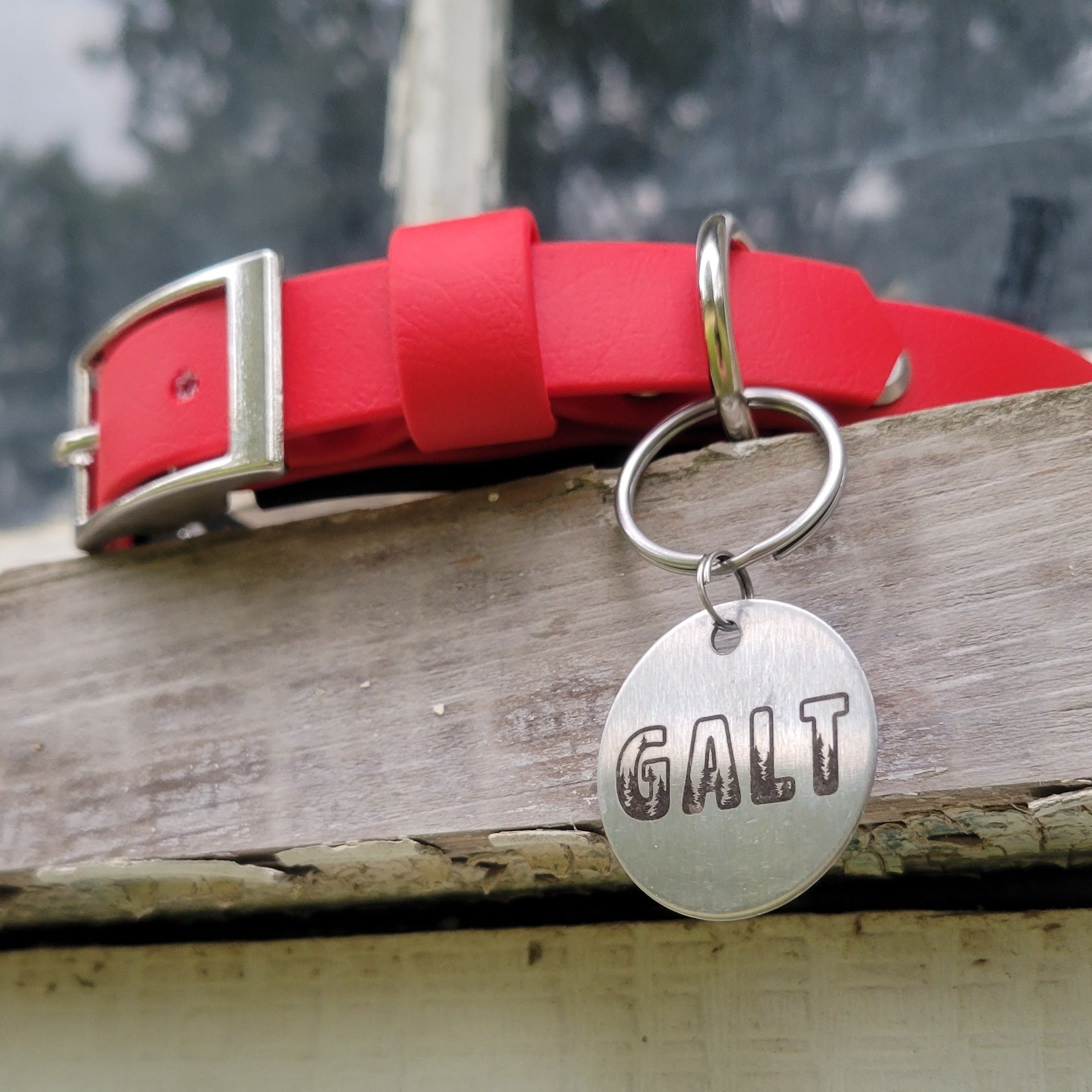 Into The Woods - Pet tag