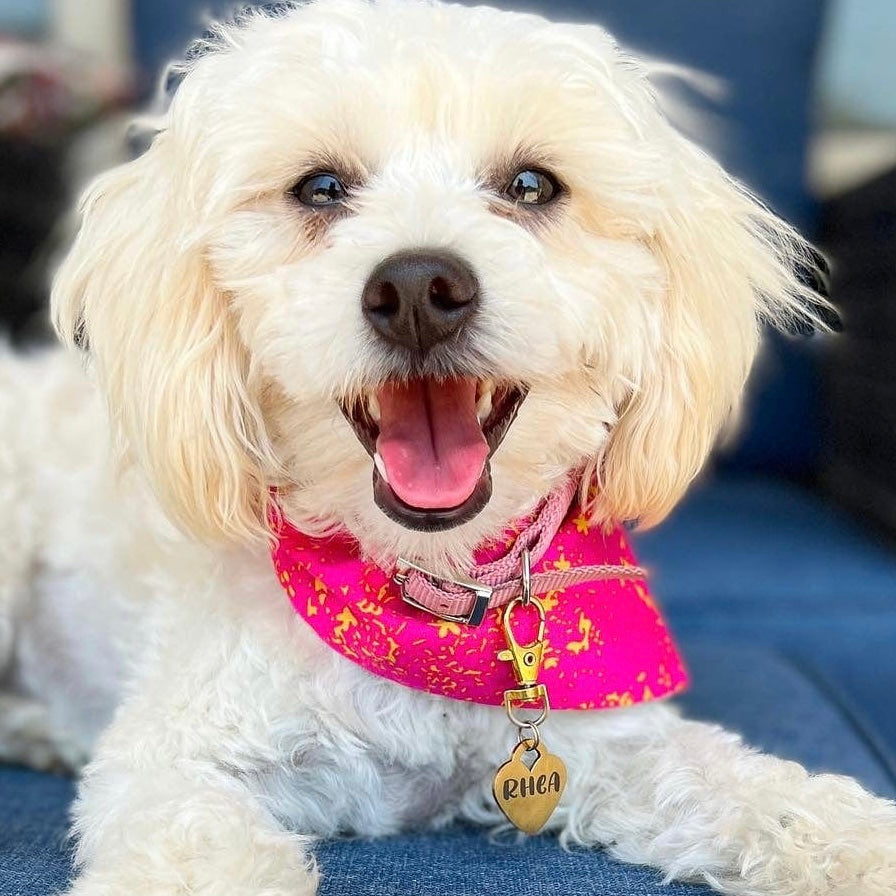 Heart - Pet tag