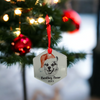 Load image into Gallery viewer, Frosted Glass Ornament- Personalized