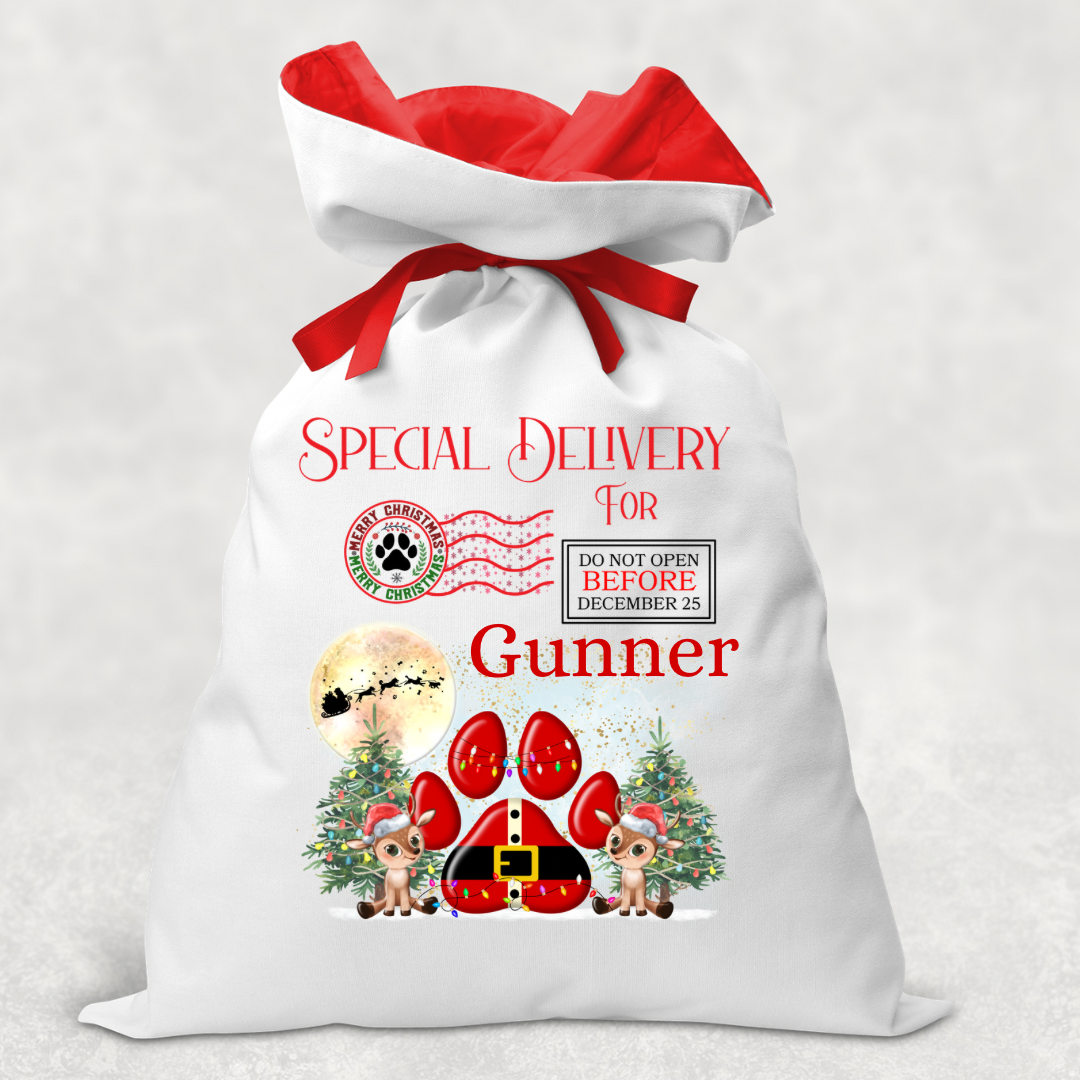 Special Delivery Santa Sack