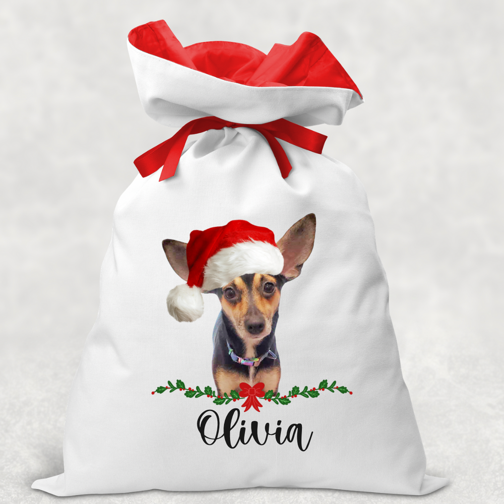 
                      
                        Custom Santa Sack
                      
                    