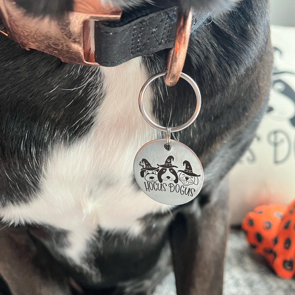 Hocus Dogus- Pet tag