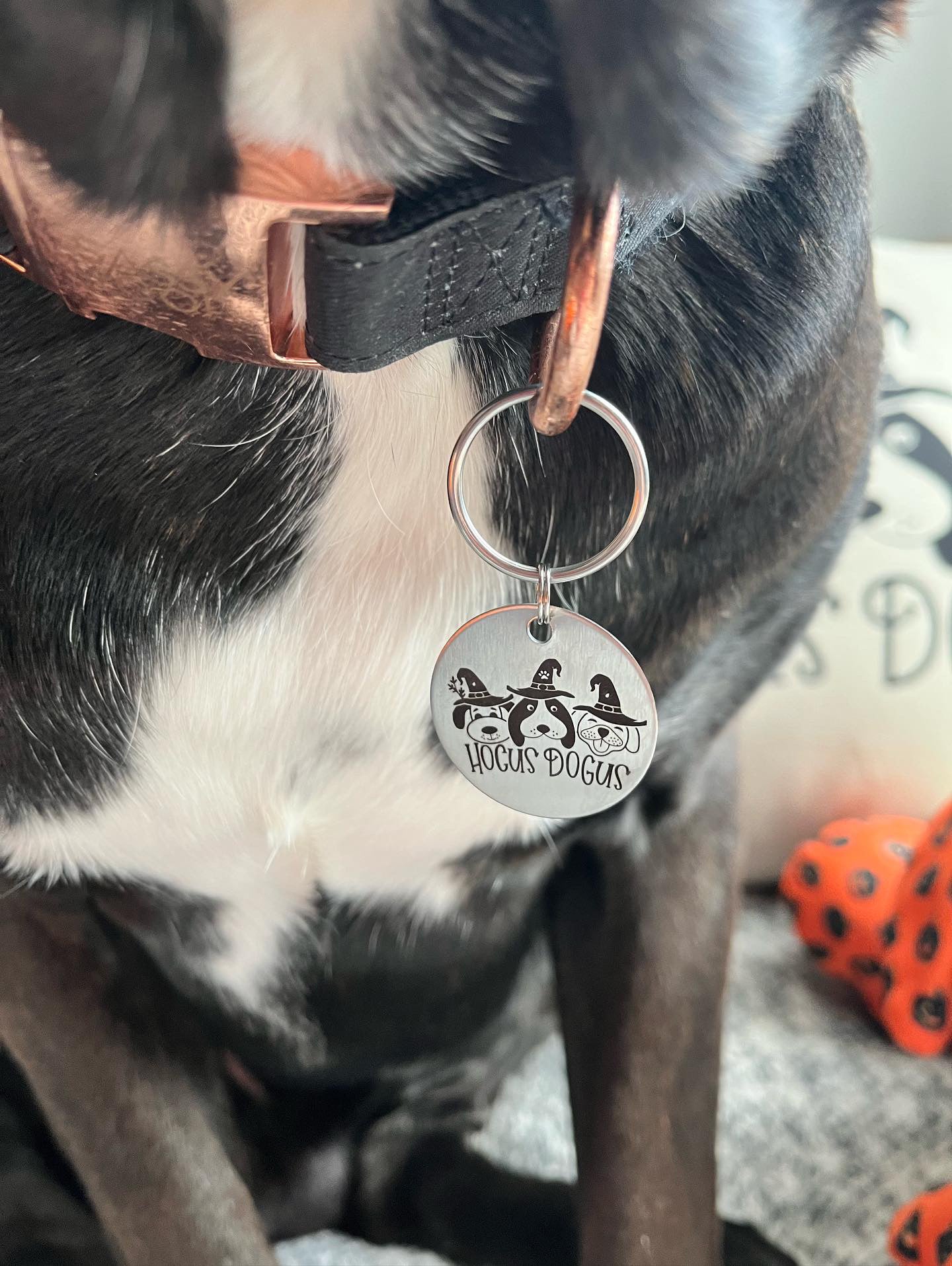 Hocus Dogus- Pet tag