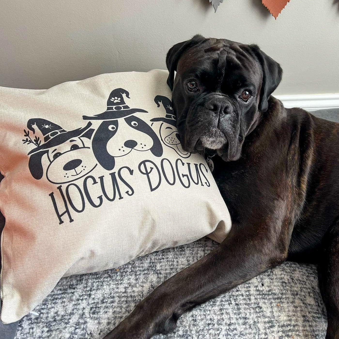 Hocus dogus- Pillow cover