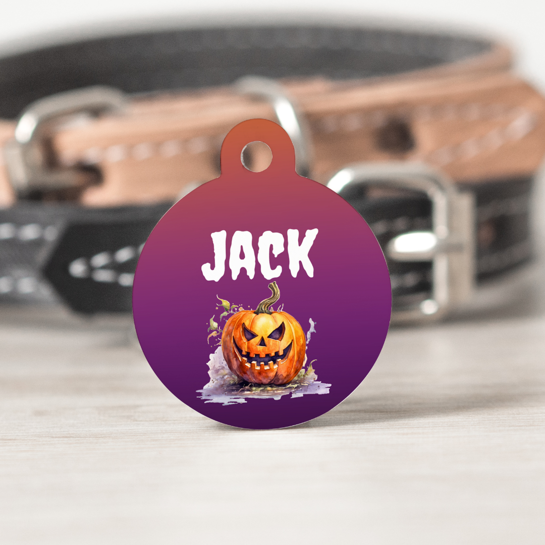 Pumpkin - Pet tag