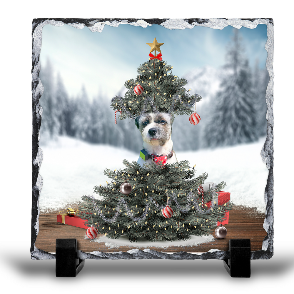 
                      
                        Christmas tree photo slate-personalized
                      
                    