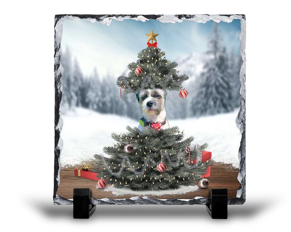 Christmas tree photo slate-personalized