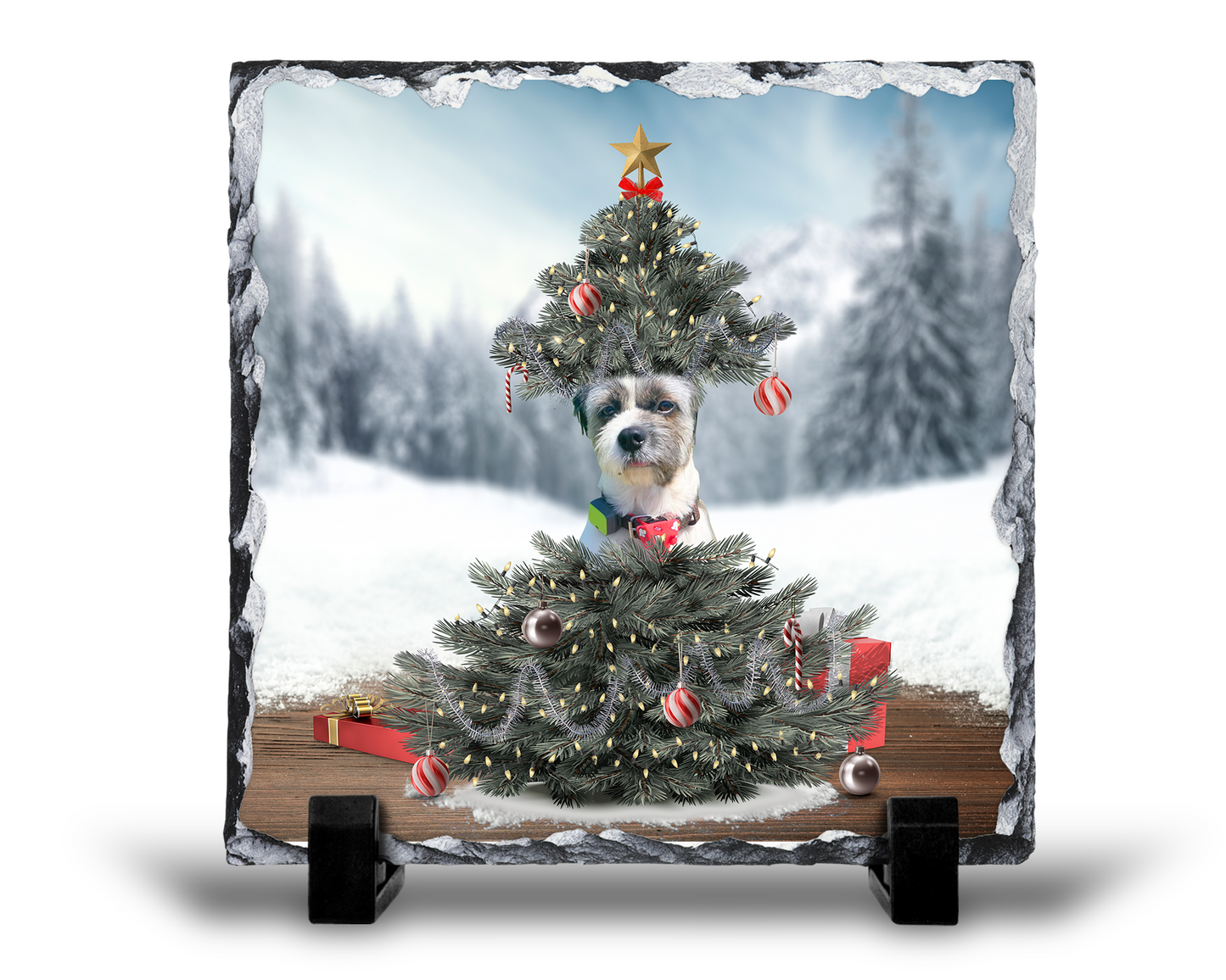 Christmas tree photo slate-personalized