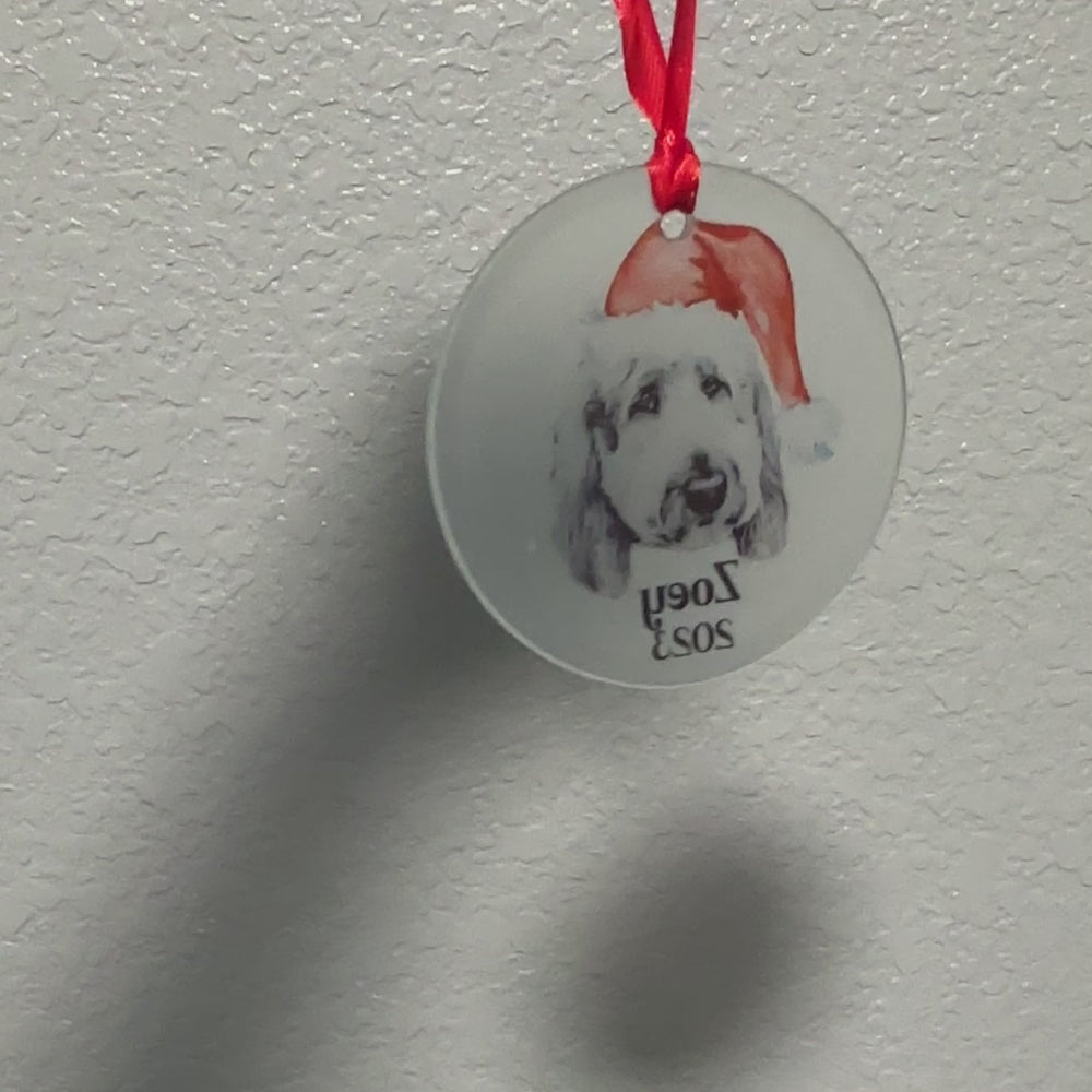 
                      
                        Load and play video in Gallery viewer, Frosted Glass Ornament- Personalized
                      
                    
