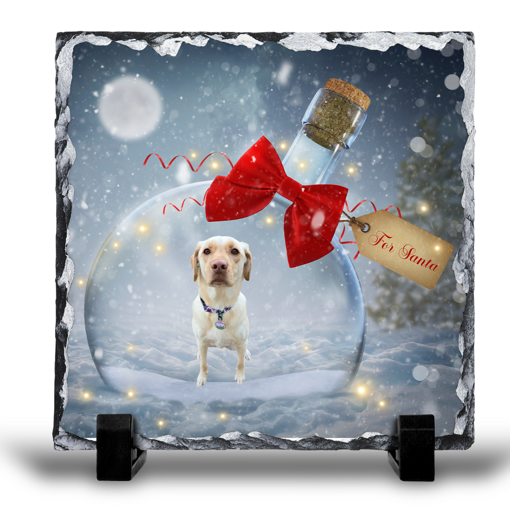 
                      
                        Ornament photo slate-personalized
                      
                    