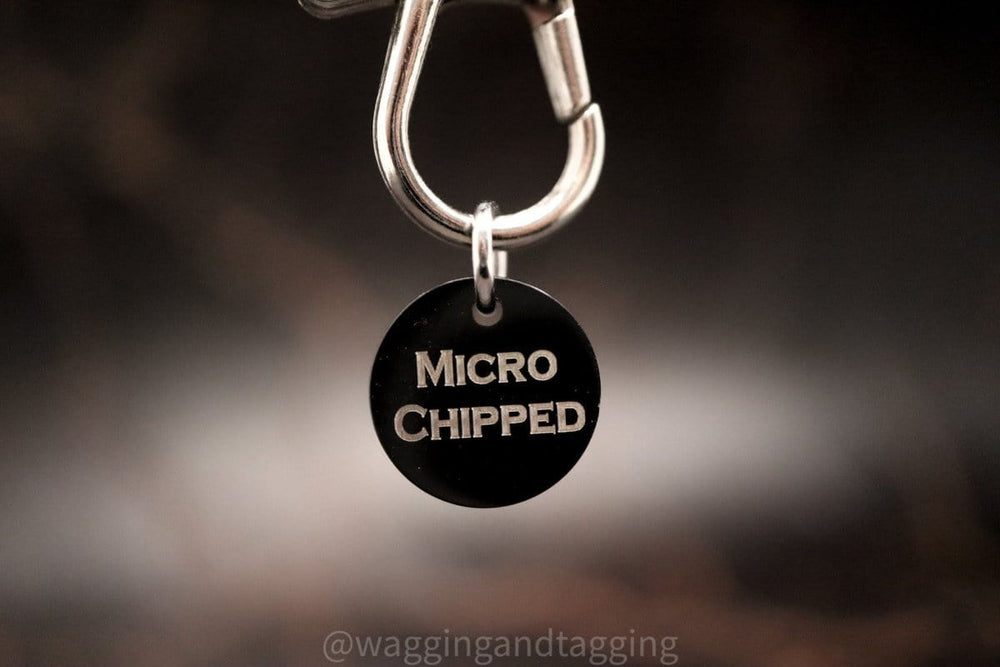Wagging and Tagging LLC Pet ID Tag Microchipped Black - Mini Pet Tag