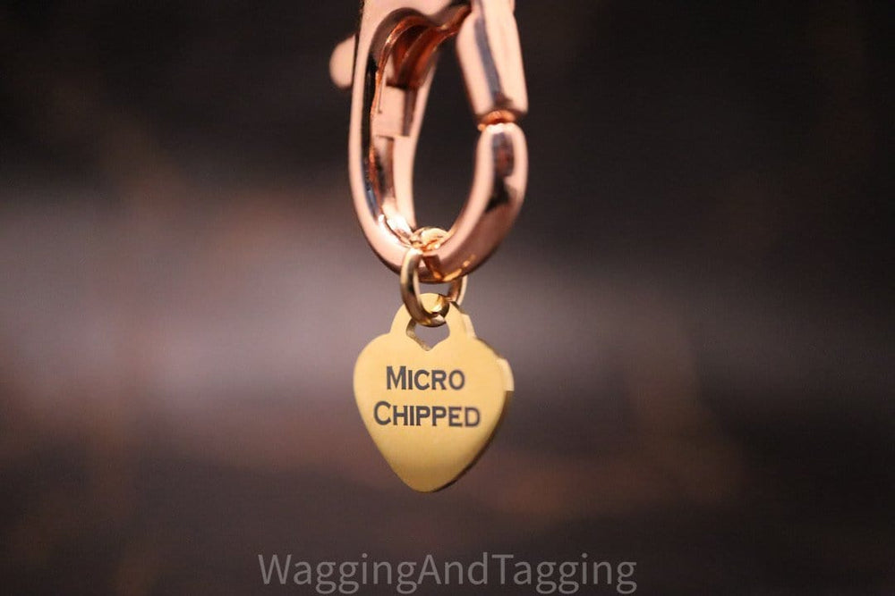 
                      
                        Wagging and Tagging LLC Pet ID Tag Microchipped Heart - Mini Tag
                      
                    