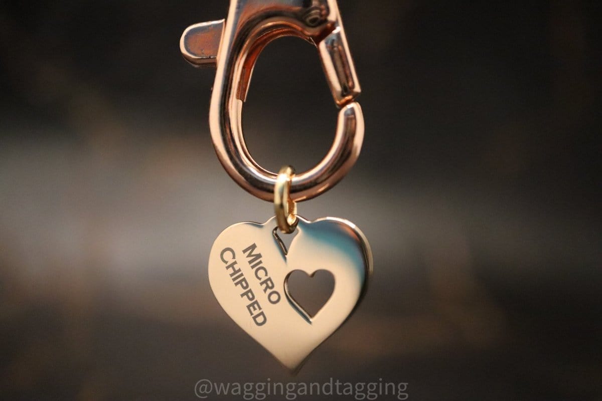 Wagging and Tagging LLC Pet ID Tag Microchipped Heart to Heart - Mini Tag