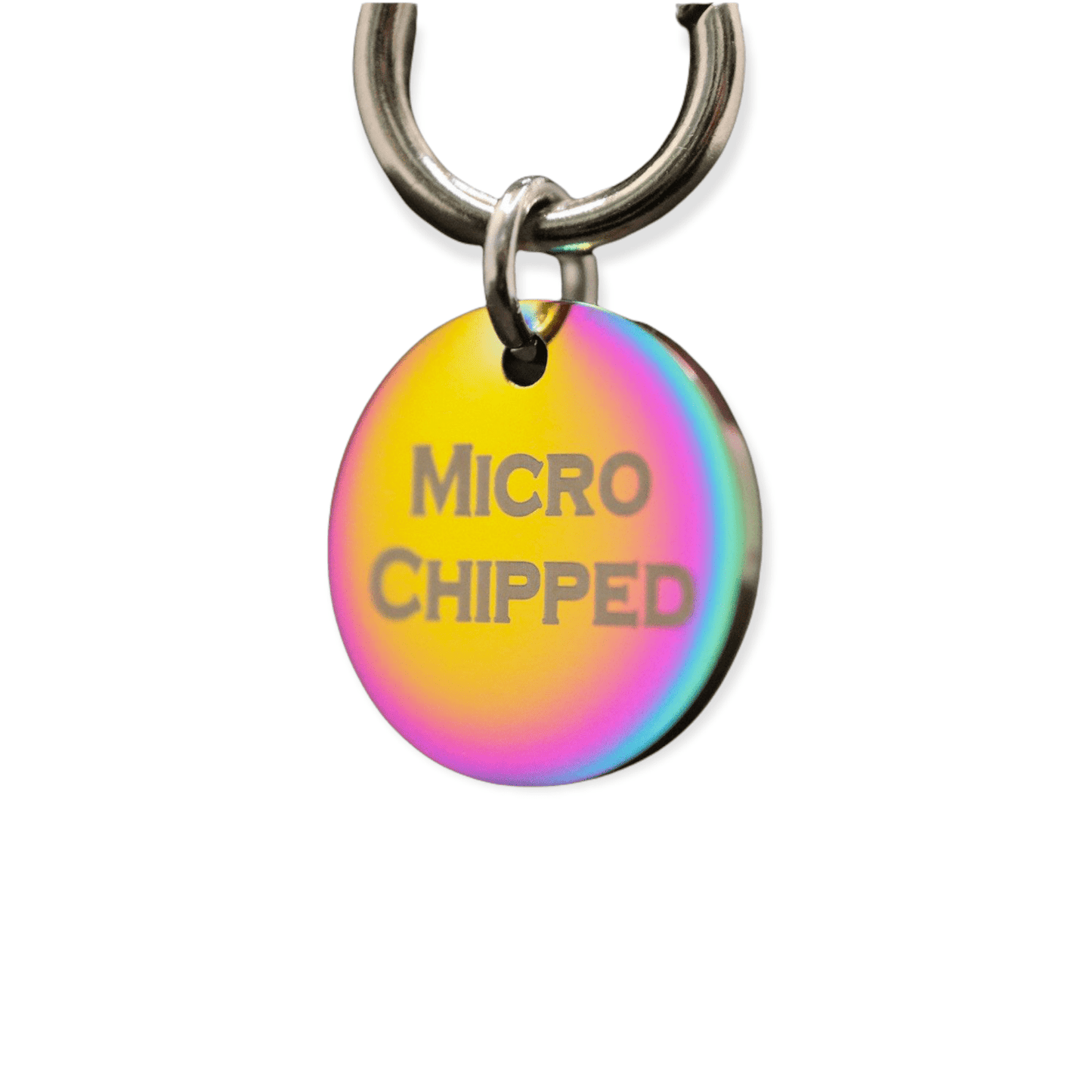 Wagging and Tagging LLC Pet ID Tag Microchipped Rainbow Mini Tag