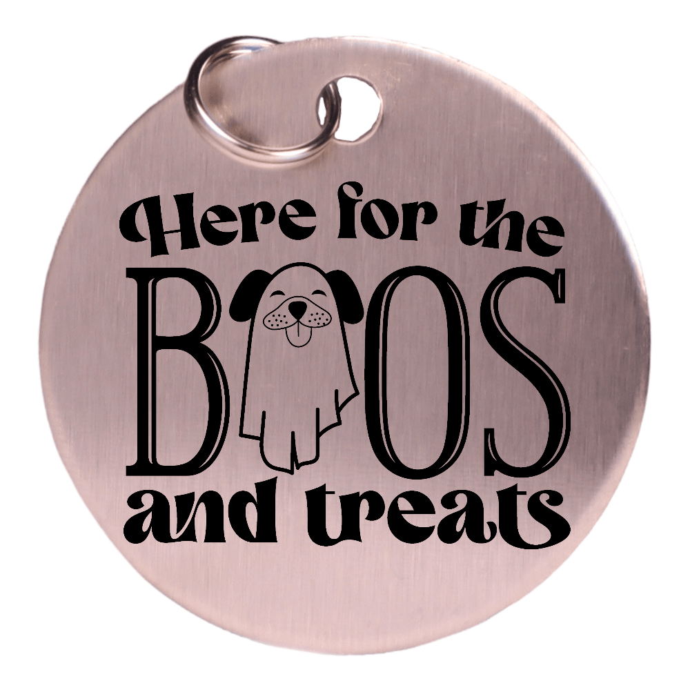 Wagging and Tagging LLC Pet ID Tags 1.25” - Brushed Steel Here for the boo's - Pet tag