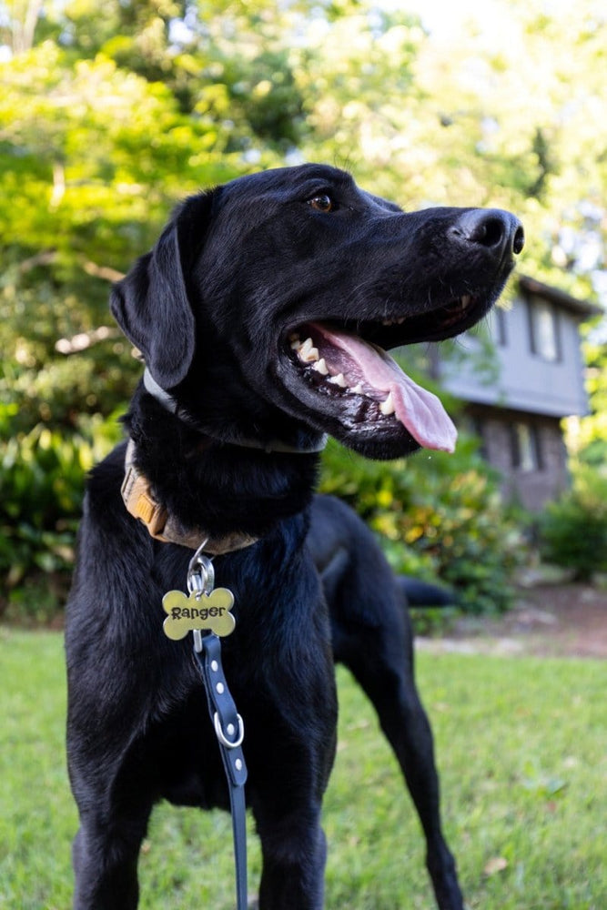 
                  
                    Wagging and Tagging LLC Pet ID Tags Bone - Pet tag
                  
                