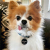 Load image into Gallery viewer, Wagging and Tagging LLC Pet ID Tags Making Etch Happen - Pet tag