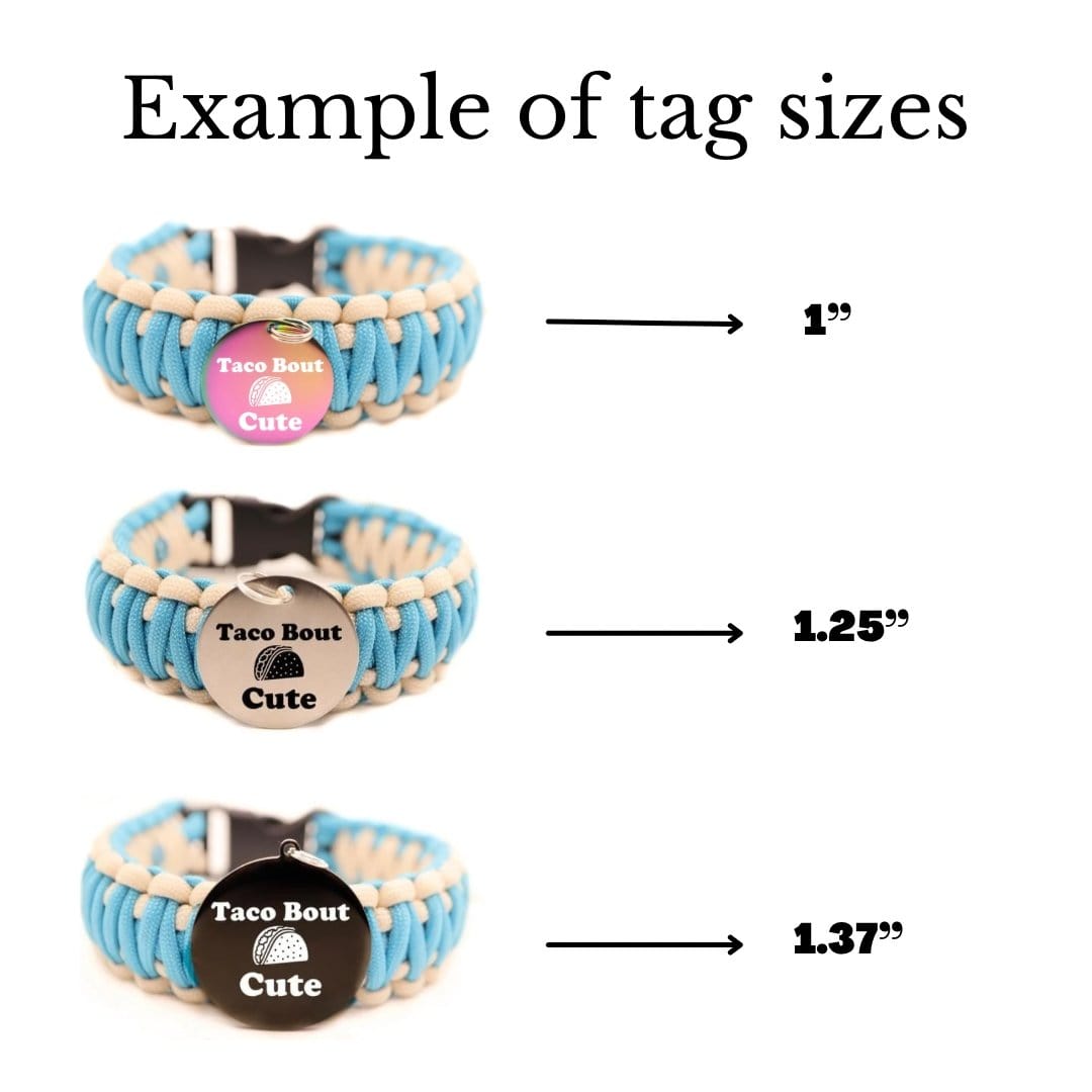 Wagging and Tagging LLC Pet ID Tags Taco bout cute - Pet tag